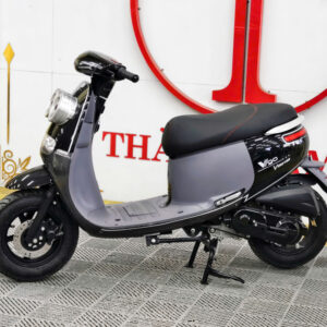 GOGO 50 CC