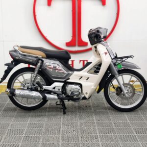 GPX ROCK 110