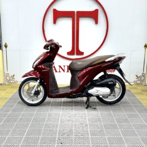 VISION MC SMK